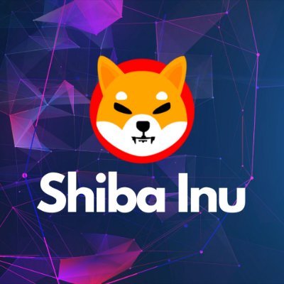 ShibaPumpBiich's profile picture. To the moooooooon!!!!!! 🚀