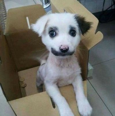 sharecryptoinfo's profile picture. Getting to know Crypto