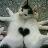 yagi_miyu's profile image