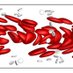 Narsimhan Soft Matter Group (@narsimhangroup) Twitter profile photo Narsimhan Soft Matter Group (@narsimhangroup) Twitter profile photo