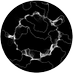 Tobias Grothmann (@grothmanntobias) Twitter profile photo Tobias Grothmann (@grothmanntobias) Twitter profile photo