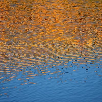 rc_okay's profile picture. 