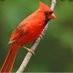 Cards (@shermansshoes) Twitter profile photo Cards (@shermansshoes) Twitter profile photo