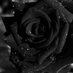 Raven Robertson (@ravenro40686482) Twitter profile photo Raven Robertson (@ravenro40686482) Twitter profile photo