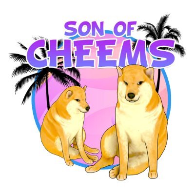 Son of Cheems