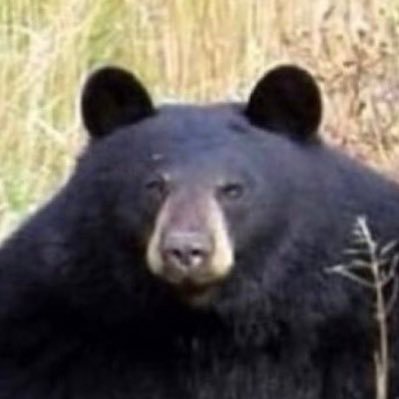 やまよしさんのプロフィール画像