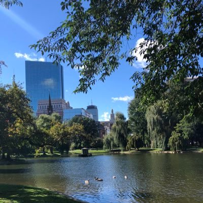 sjoy1998's profile picture. 