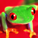 adrian borges - @adrianborges1 - Twitter