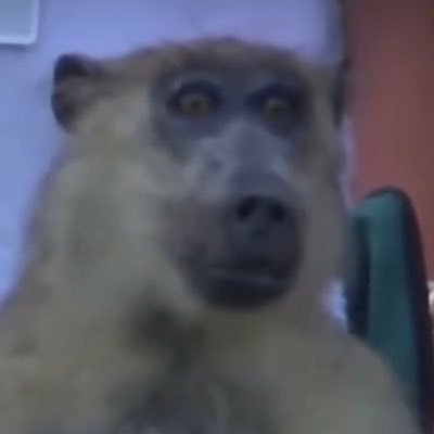 ScribsRL's profile picture. yo guys ima content creator i stream on twitch everyday : https://t.co/cpiGF15KI6