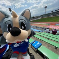 ぐい (@kame_kame8) Twitter profile photo