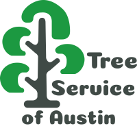 Best tree care service in the Austin, TX area! Call today for a free quote 512-846-6410 or contact us for any questions at info@treeserviceofaustin.com