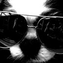 Katy May - @katymay7 - Twitter