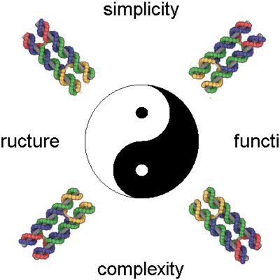 TheMaoLab's profile picture. Our group continues to explore the possibilities of self-assembled nucleic acids (DNA and RNA), and DNA nanotechnology from these info-rich molecules.