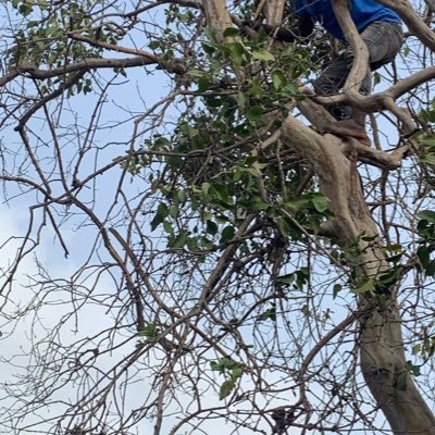 Ebrimas44833005's profile picture. 