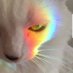 🎮🕹GrammaKelpid🕹🎮 (@renhart1965) Twitter profile photo 🎮🕹GrammaKelpid🕹🎮 (@renhart1965) Twitter profile photo