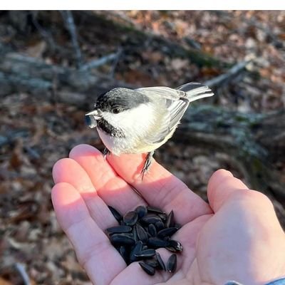 June12299490's profile picture. I love being in nature where life is most peaceful, love my dogs and all animals as well as listening to some great music!🌈🐕🎶