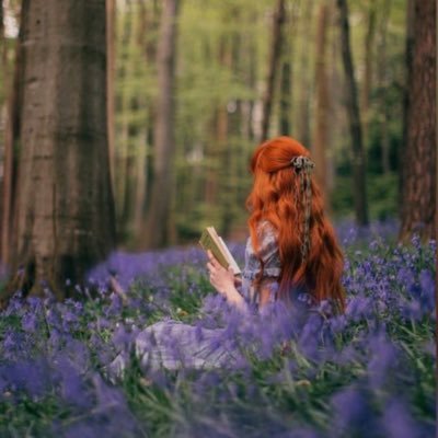 hx141s's profile picture. 