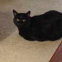 Mary Brabazon - @BrabazonMary - Twitter