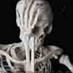 A Skeleton (@wanderingbone) Twitter profile photo A Skeleton (@wanderingbone) Twitter profile photo
