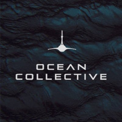 Ocean collective uses the power of film as a catalyst for positive change.