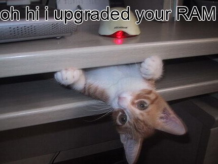 Just watching some of funny picture, i can make you laugh