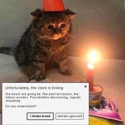 PunkTankCrypto's profile picture. "Crypto Class 2020" Learn from the Greats to be one of the Greats! 🏰