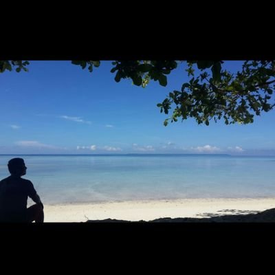 NoobKingCrypto's profile picture.