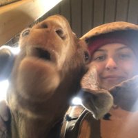 lola ๐ง (@bolaluncher) 's Twitter Profile Photo lola ๐ง (@bolaluncher) 's Twitter Profile Photo