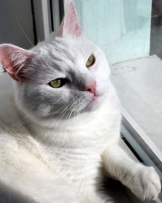 JaMiRoCkJazZ's profile picture. Beniamin, Benefis, Bonifaciy, Benia, Ben