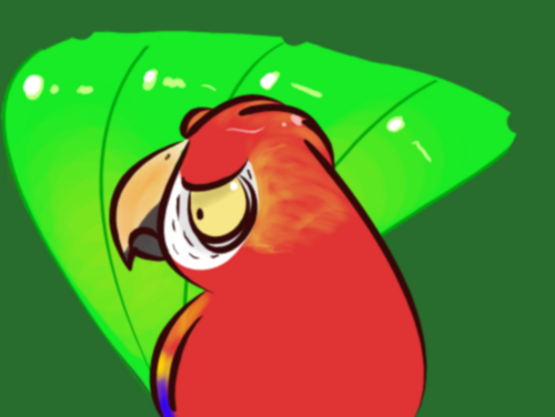 Angry_Jaybird's profile picture. The macaw that attacks with a beak and is the boss of a the house.