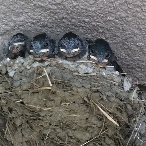 hebereke10's profile picture. 何時も何時でも酒の事、想い思って飲んだくれ。ふと思う逃避の供と歩調が合わず、本当に欲し大切なモノは何処。