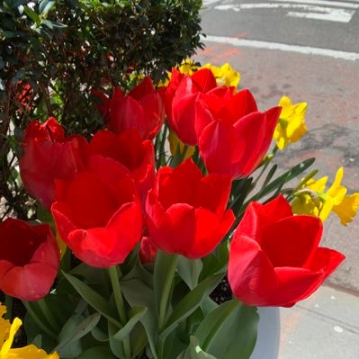 lonely_buthappy's profile picture. Just an average lonely girl. finding happiness alone