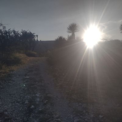 Themexican_m's profile picture. .