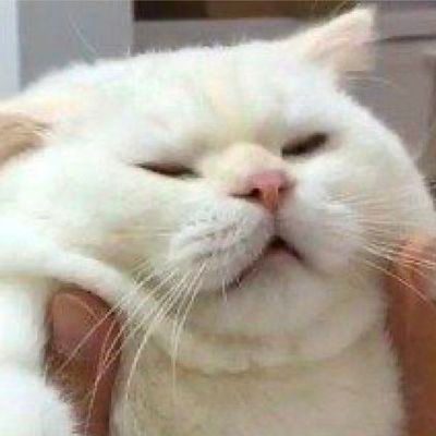 ᕦ( ͡° ͜ʖ ͡°)ᕤさんのプロフィール画像