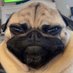 The Emperor of Cheney (@alex_fithian) Twitter profile photo The Emperor of Cheney (@alex_fithian) Twitter profile photo