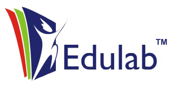 Edulabin's profile picture. Edulab is a globally recognized education organization with its focus on international internships.