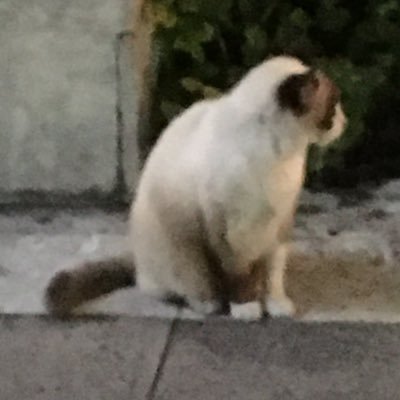 コウさんのプロフィール画像