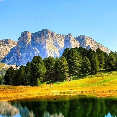 SDinda10's profile picture. hi