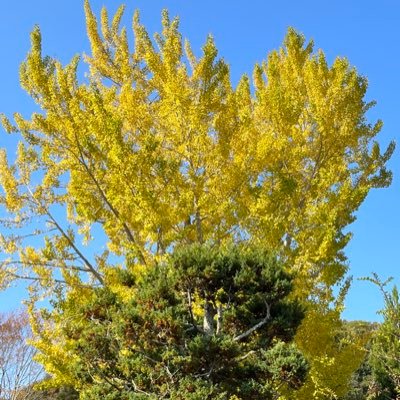 sudatu0403's profile picture. 破産申請準備中。借金1億5000万円。離婚。子供もいなくなり、家も財産もなくなり、ただただ生きているだけ。