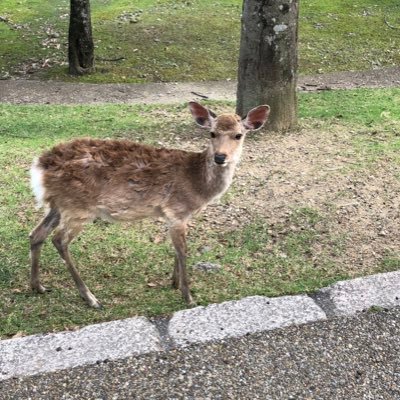 4vHEuBposQkmjOH's profile picture. よろしくお願いします！