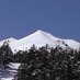 2θ(にしーた)@⛷️ (@tn_2theta) Twitter profile photo 2θ(にしーた)@⛷️ (@tn_2theta) Twitter profile photo