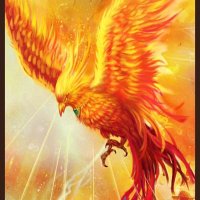 ドルフィン (@lhpgadapartdua0) 's Twitter Profile