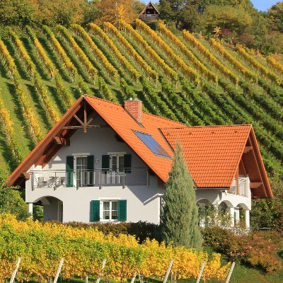 Love traveling and love wine | Visit my web site for videos, free seminars and gifts | https://t.co/eWaOudAUDB