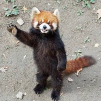 いたんじ (@0itang) 's Twitter Profile Photo いたんじ (@0itang) 's Twitter Profile Photo