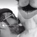 الـحــربـي⚡️ (@dd655) Twitter profile photo الـحــربـي⚡️ (@dd655) Twitter profile photo
