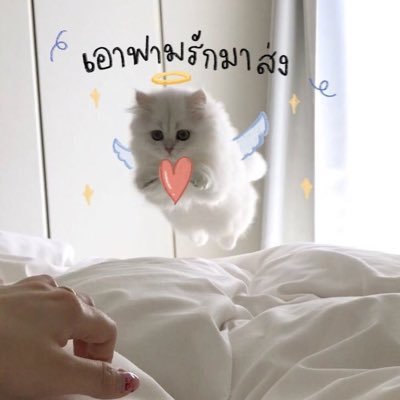 Nni215's profile picture. ส่งต่อของตัวเอง 🙇🏻‍♀️🤍