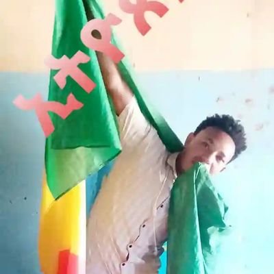 NegashTefei's profile picture. 