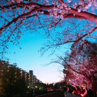 yugo (@yugo_1004) Twitter profile photo