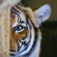 daniel p olvera (@dolvera91) 's Twitter Profile