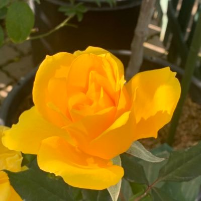 BMSGのファンです。特にhttps://t.co/MaJD3ve44W FIRST大好きで、MUZE、BESTYですが、熊本出身のRANくんを特に応援してます📣生活の張りにライブを楽しんいる結構な年増ですが、よろしく🙏 無言フォローで失礼します🙇♀️